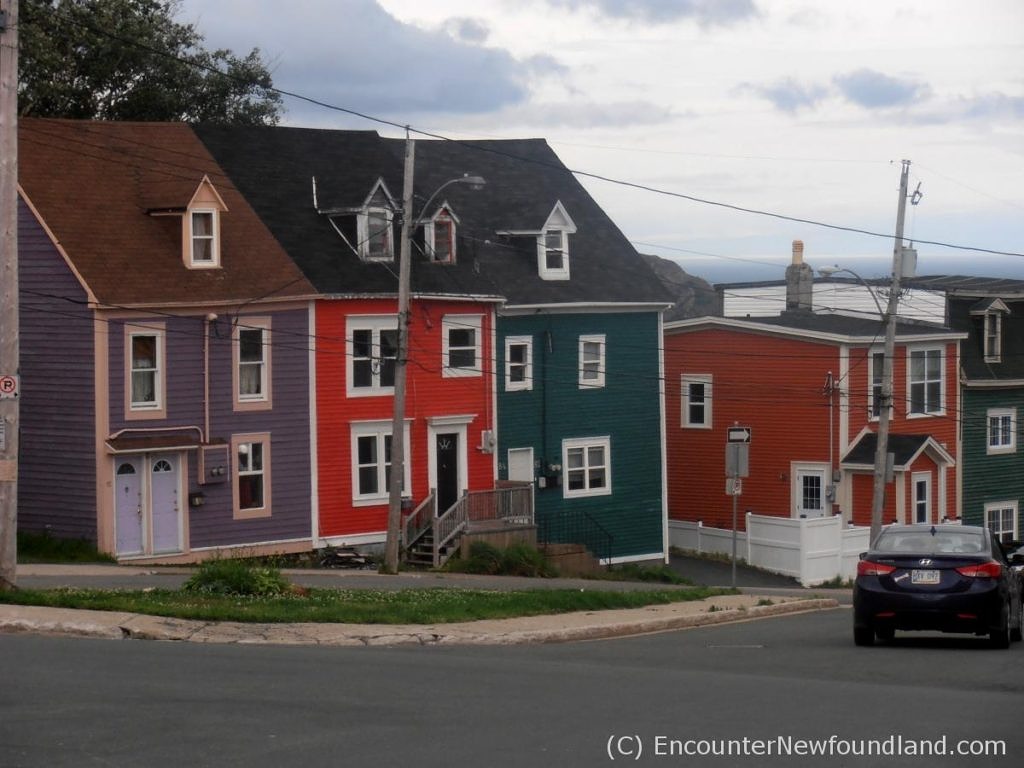 vibrantly painted row houses